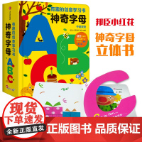 神奇字母书 幼儿有趣的创意学习 0-3-6岁宝宝书籍早教启蒙翻翻看 ABC绘本 儿童认知翻翻书 婴儿图书3D立体洞洞书