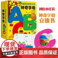 神奇字母书 幼儿有趣的创意学习 0-3-6岁宝宝书籍早教启蒙翻翻看 ABC绘本 儿童认知翻翻书 婴儿图书3D立体洞洞书