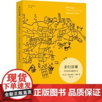 步行景观:作为审美实践的行走 艺术与社会译丛 从达达主义者游览城市到大地艺术主要参与者们的艺术史 艺术都市主义社会工程译
