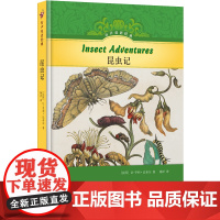 有声双语经典:昆虫记(硬壳精装)美国教育专家编写 儿童文学家 高考英语听力主播朗读英文有声书 睡前故事亲子育儿 译林正版