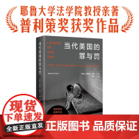 当代美国的罪与罚詹姆斯·福曼普利策奖获奖作品外国热门小说入选纽约时报华尔街日报正版书籍豆瓣高分图书译林出版社
