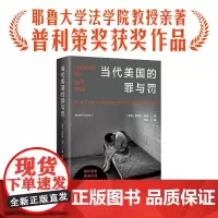 当代美国的罪与罚詹姆斯·福曼普利策奖获奖作品外国热门小说入选纽约时报华尔街日报正版书籍豆瓣高分图书译林出版社