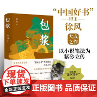 包浆 中国好书得主徐风大成之作随书赠蠡河涛声精美手绘书签 中国当代长篇小说作品附人物关系图创作手稿译林出版社正版书籍