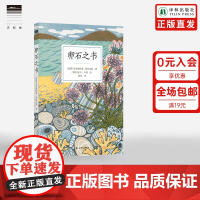 [天际线]卵石之书 收录艺术家安吉•莱温创作的一系列版画 全彩印刷含44幅彩色版画和水彩画 译林正版