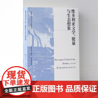 维多利亚文学、能量与生态想象 重新发现现代世界能源衰竭、环境污染、土壤退化、城市生态危机及可持续发展观念的源头 译林出版