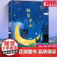[暑假读一本好书]独自长大 万花筒星星点灯迎风生长超越自我的心灵之旅6-9-12岁中小学生课本课外书 青少年儿童成长小说