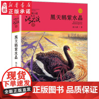 正版 黑天鹅紫水晶 动物小说大王沈石溪品藏书系中小学生课外书籍7-12-14岁儿童文学读物学校老师寒暑假阅读书