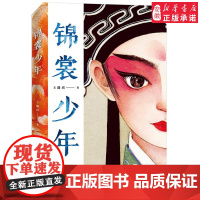 锦裳少年 王璐琪 接力出版社以昆 作为创作题材的小说 中国传统文化青少年读懂昆 10-14岁 文学小学生三四五六年级课外