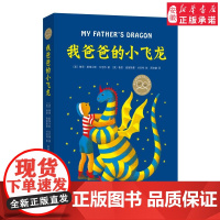 新华正版 我爸爸的小飞龙 精装硬壳 2-3年级阅读 非注音 儿童文学小说 充满爱与勇气的冒险故事 寒暑假 阅读 南海出版