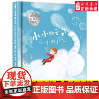 海螺号 文学有声书系列 小小的云朵小小的风 2021年暑假小学生 阅读图书6-12岁少儿经典阅读 文学 皖新传媒 安徽