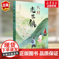 八月光荣镇 高满航著 6-8-10岁二三四年级小学生课外书阅读书籍 儿童文学故事书暑假寒假 天天人民文学出版社安徽