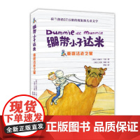 重返法老之墓 绷带小子达米系列寒暑假 书6-9-12岁儿童冒险小说 荷兰儿童文学国外获奖文学童书 校园阅读课外读物 冒险
