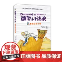 重返法老之墓 绷带小子达米系列寒暑假 书6-9-12岁儿童冒险小说 荷兰儿童文学国外获奖文学童书 校园阅读课外读物 冒险