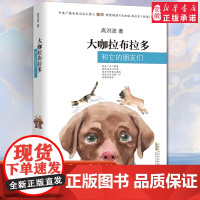 暑假读一本好书 大咖拉布拉多和它的朋友们 诗人高洪波教你用童真的眼睛看四季交替看世界的美妙二三四五年级小学生课外阅读书籍