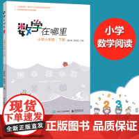 数学在哪里 小学六6年级下册必修订版 小学数学趣味阅读数学阅读课外书 小学数学思维训练 儿童益智力开发课外阅读训练暑假书
