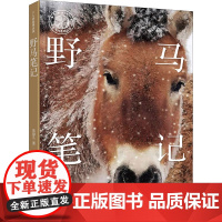 少儿科普精品馆系列正版 野马笔记 张赫凡著 7-12-14岁中小学生一二三四年级暑假期课外阅读认识保护自然野生动物科普书