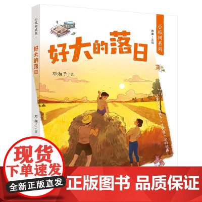 暑期读一本好书]小枞树系列·好大的落日 7-10岁小学生儿 童文学故事书 一二三年级小学生课外阅读书籍 安徽少年儿童出