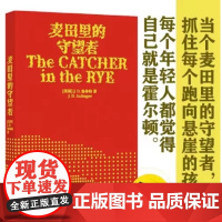 译林名著阅读任选]麦田里的守望者纪念版杀死一只知更鸟奇风岁月布鲁克林有棵树 外国文学小说 世界名著阅读 译林出版社 正版