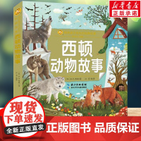 西顿动物故事 彩绘注音版一二三年级必课外阅读书老师儿童拼音故事书籍 小蜜蜂童书馆小学生文学读物长江少年儿童出版正版图书