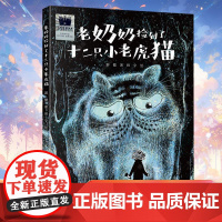 老奶奶捡到了十二只小老虎猫 彭懿著 2024年寒假百班千人推 荐二年级小学生课外阅读书籍儿童文学绘本图画书 接力出版社新