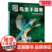 鸟类不简单 德国少年儿童百科知识全书什么是什么珍藏版精装儿童科普百科全书自然科学历史7岁+中小学生儿童课外阅读书