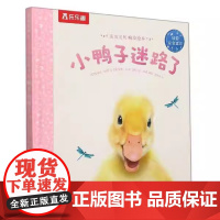 绘本0-3-6岁幼儿早教书籍宝宝幼儿园学前亲亲宝贝 晚安绘本—小鸭子迷路了情绪管理自信勇敢启蒙情商故事课外儿童阅读