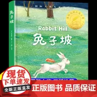精装版]兔子坡 国际大奖儿童文学 小学生阅读课外书籍 适合二年级下册三四五六年级看的课外书必读正版漫画书童话故事书非注音
