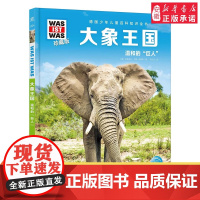 大象王国 德国少年儿童百科知识全书什么是什么珍藏版精装儿童科普百科全书自然科学历史7岁+中小学生儿童课外阅读书