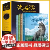 沈石溪动物小说全套4册 传奇狼王梦黑熊舞蹈家白象家族7-8-10-12-15岁儿童文学三四五六年级中小学生课外阅读书籍