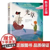 光草(一个墙上的异想世界)/国际大奖小说 彩图版9-12-15岁少年文学成长励志童书三四五年级小学生课外书阅读书