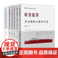 6本套装 刑法罪名精释与案例百选丛书 陈洪兵 著 法律出版社 cy