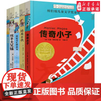 长青藤国际大奖小说书系第十七辑全5册17季我的诗歌牧羊犬兄妹传奇小子秘密写在群星间结局由我校园励志三四五六年级课外阅读书