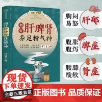 调好肝脾肾 养足精气神 脏腑辩证中医调理养生书籍 中医养生生活 经典妙方对症自疗 做自己的中医穴位调料按摩经络图
