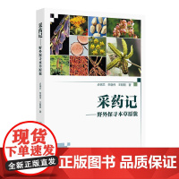 采药记——野外探寻本草原貌