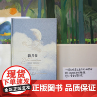 新月集精装 英汉双语 彩绘珍赏版 泰戈尔著 郑振铎译 杜文涓配图