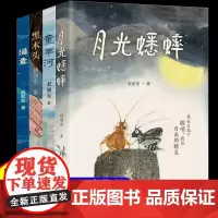赵丽宏童心三部曲小说 渔童+童年河+黑木头 月光蟋蟀 二三四五六年级小学生课外阅读书籍 6-8-10周岁儿童书籍 文学
