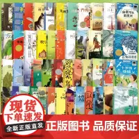 纽伯瑞儿童文学奖全套装金银奖作品长青藤国际大奖小说经典图书籍系列 十岁那年你那样勇敢7-15岁读物三四五六年级小学生课外