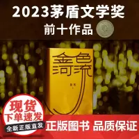 金色河流 2023茅盾文学奖提名作品 鲁敏全新长篇作品随书附赠流沙散金沙漏图案书签四十年来中国人的生活变迁和心灵世界译