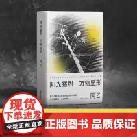 阳光猛烈 万物显形 阿乙作品以词典形式收录阿乙人生与写作的关键词 一本私人阅读和观影史作家成长指南豆瓣高分作品 译林出版