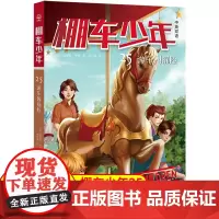 棚车少年.游乐园探险:汉英对照 让孩子在阅读中感受勇敢、善良和智慧的力量,学会笑着面对生活。