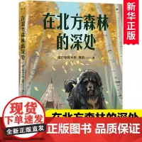 在北方的森林深处 中文分级阅读K5 10-11岁适读 儿童文学 小学生课外阅读书籍5/五年级阅读经典书目寒暑假拓展新华正