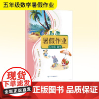 智趣暑假作业 五年级 数学 苏教版 李兵 编 小学教辅文教 正版图书籍 云南科技出版社