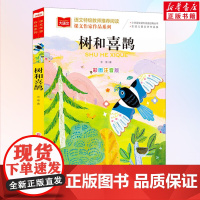 树和喜鹊大语文课文作家作品系列冰波著低年级读物注音版一年级二年级课外书小学生课外阅读书籍儿童文学故事书寒暑假