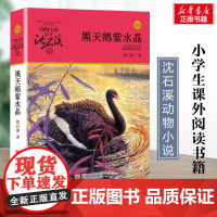 黑天鹅紫水晶 升级版 沈石溪动物小说正版品藏书系 小学生三年级四年级课外书7-8-9-10岁寒暑假课外书阅读浙江少年儿童