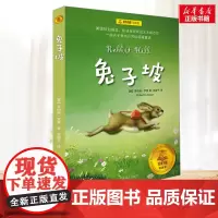 兔子坡 夏洛书屋系列 小学生二年级三年级四年级课外书寒暑假阅读7-8-9-10岁新华正版图书知识拓展阅读