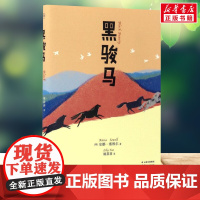 黑骏马 中文分级阅读四年级课外书9-10-11-12岁经典儿童文学寒暑假阅读新华正版