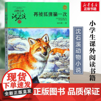 再被狐狸骗一次 升级版 沈石溪动物小说正版品藏书系 小学生三年级四年级课外书7-8-9-10岁寒暑假课外书阅读浙江少年儿