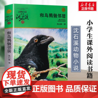 和乌鸦做邻居 升级版 沈石溪动物小说正版品藏书系 小学生三年级四年级课外书7-8-9-10岁寒暑假课外书阅读浙江少年儿童