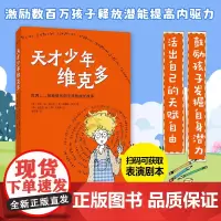 天才少年维克多 乔辛·迪·波沙达著 爱心树儿童文学励志书系 青少年读物6-9-10-11-12岁南海出版社童书暑假荐书目