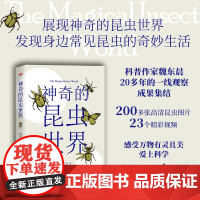 神奇的昆虫世界